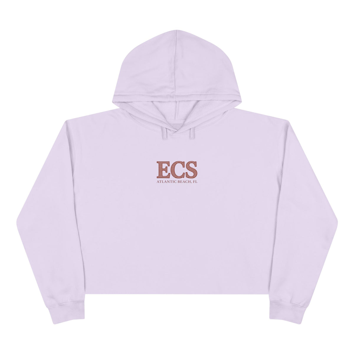 ECS Surf Breaks Cropped Hoodie