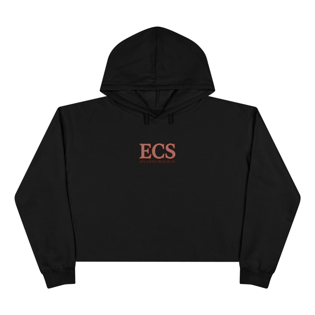 ECS Surf Breaks Cropped Hoodie