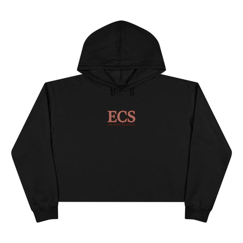 ECS Surf Breaks Cropped Hoodie