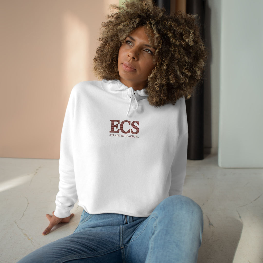 ECS Surf Breaks Cropped Hoodie